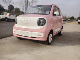 奔腾小马 2026款 222km 炫彩马