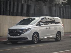 广汽传祺 传祺M8 2018款 320T 尊贵版