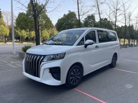 BAW北汽制造 锐胜王牌M7 2023款 2.0L 长轴创富型 9座