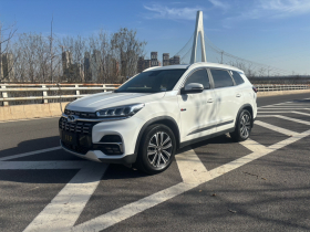 奇瑞 瑞虎8 2019款 1.6TGDI 自动豪华型