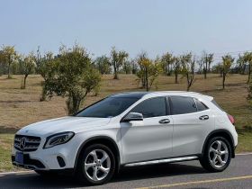 奔驰GLA 2019款 GLA 200 动感型