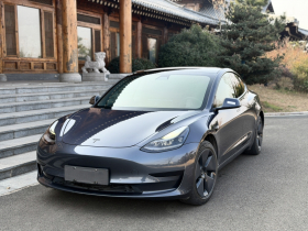 特斯拉 Model 3 2021款 标准续航后驱升级版