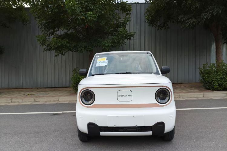 吉利银河 2024款 熊猫mini 200km 耐力熊车身外观6001