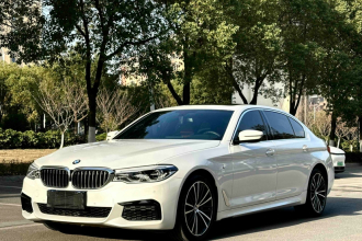 宝马5系 2020款 530Li 领先型 M运动套装