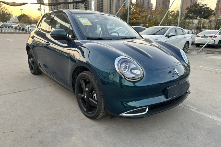 欧拉好猫 2024款 401km 豪华型车身外观6002