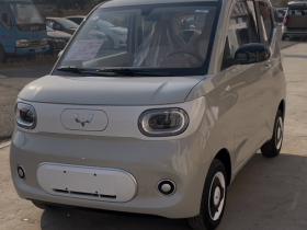 五菱汽车 宏光MINIEV 2024款 第三代 215km 青春版