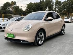 欧拉好猫 2021款 400km标准续航 雅典娜版 磷酸铁锂