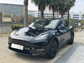 特斯拉 Model Y 2021款 标准续航后驱版