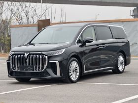 岚图汽车 岚图梦想家 2024款 PHEV 超长续航卓越版