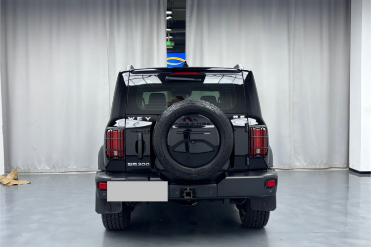 坦克300 2021款 越野版 2.0T 征服者车身外观6007