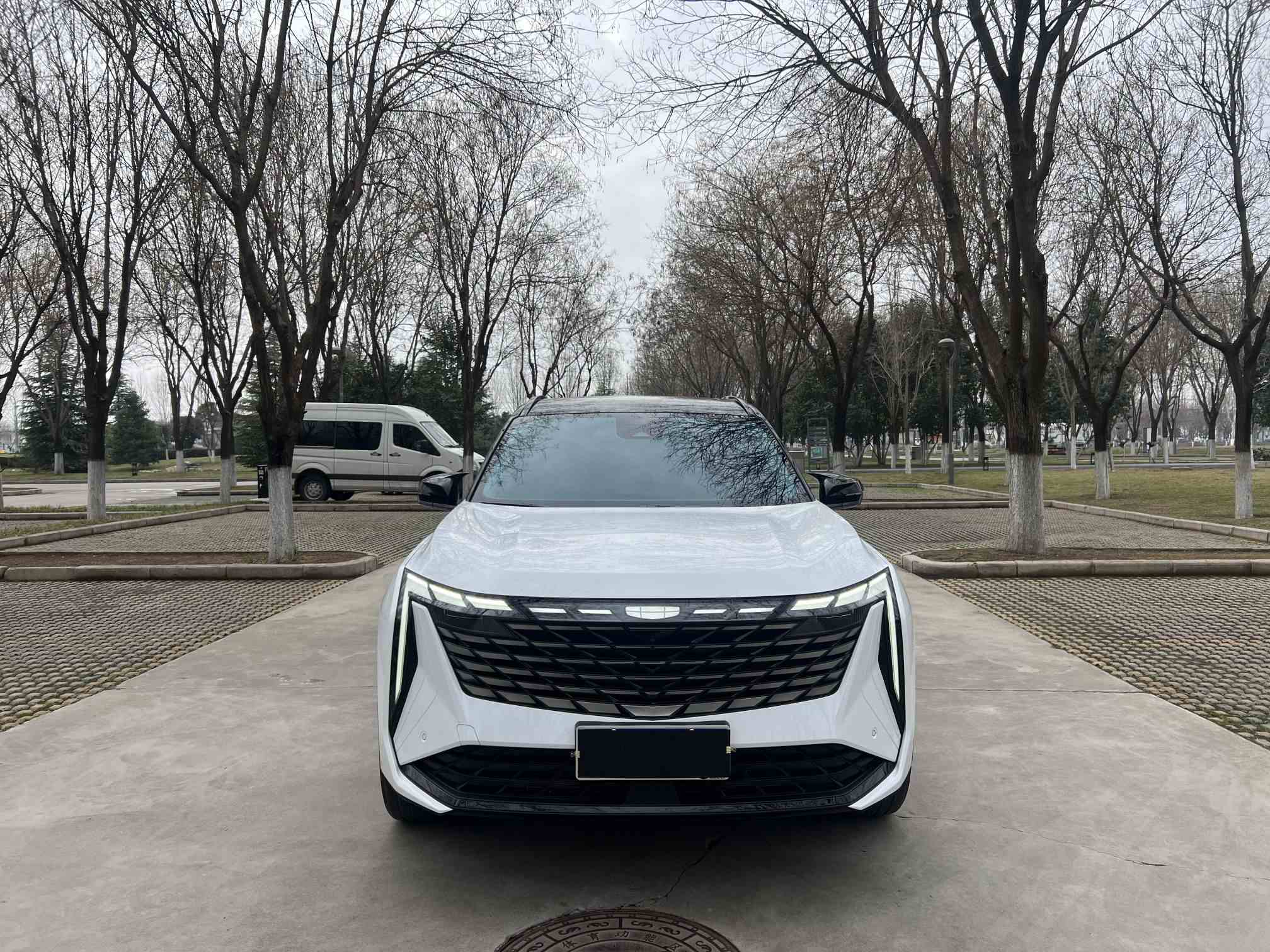 吉利汽车 博越L 2024款 1.5TD DCT尊贵版(2)