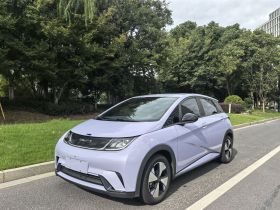 比亚迪 海豚 2023款 420km 自由版