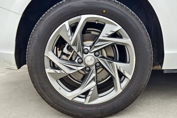 红旗HS3 PHEV 2024款 PHEV 115km 劲为版车身外观6009