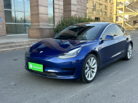 特斯拉 Model 3 2019款 标准续航后驱升级版