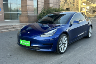 特斯拉 Model 3 2019款 标准续航后驱升级版