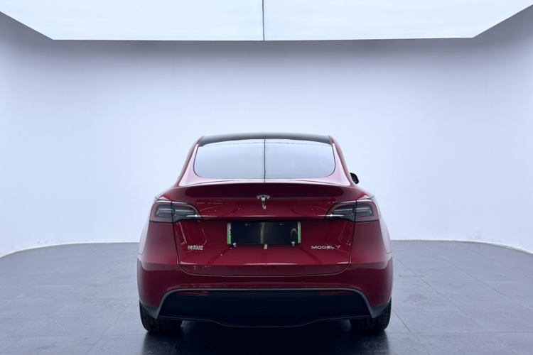 特斯拉 Model Y 2021款 改款 长续航全轮驱动版 3D5车身外观6004