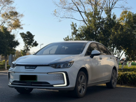 北京汽车 北京EU5 2022款 网约车豪华版