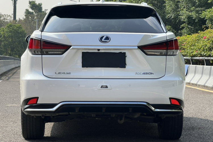 雷克萨斯RX  改款 450h 四驱典雅版车身外观6005
