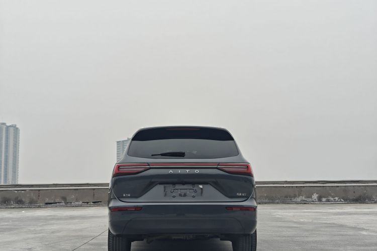 鸿蒙智行 问界M7 2022款 1.5T 四驱豪华版车身外观6005