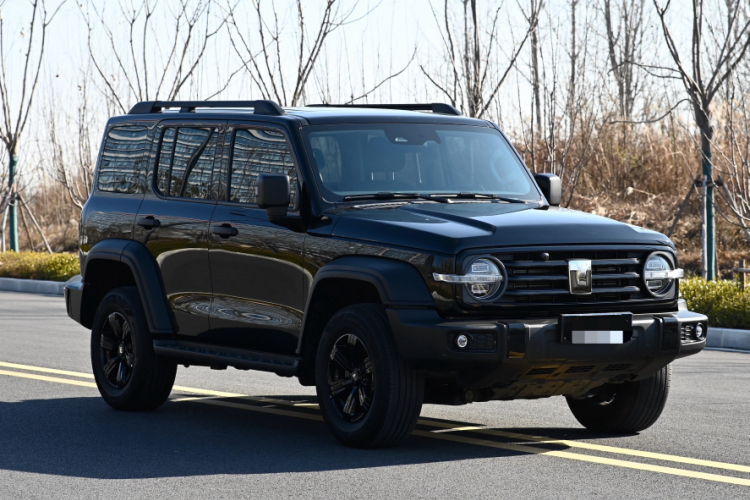 坦克300 2024款 2.0T 征服者车身外观6008