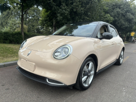 欧拉好猫 2021款 400km标准续航 雅典娜版 磷酸铁锂