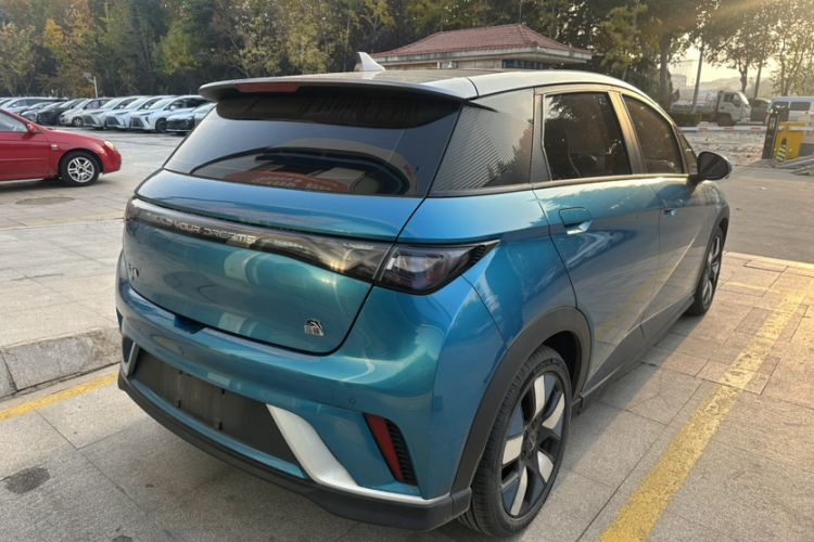 比亚迪 海豚 2021款 401km 骑士版车身外观6005