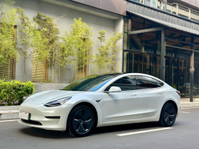 特斯拉 Model 3 2020款 改款 标准续航后驱升级版