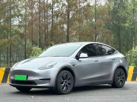 特斯拉 Model Y 2024款 后轮驱动版