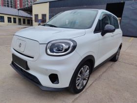 零跑汽车 零跑T03 2020款 400豪华版