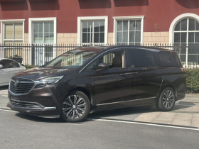 别克GL8 2020款 ES陆尊 653T 旗舰型