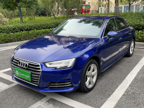 奥迪A4L 2017款 Plus 40 TFSI 进取型