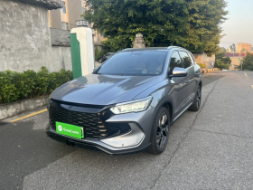 比亚迪 宋Pro新能源 2023款 冠军版 DM-i 110KM卓越型