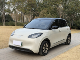 五菱汽车 五菱缤果 2023款 410km 灵犀尊享款