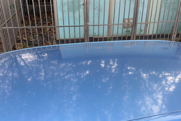 斯柯达 晶锐 2014款 1.4L 手动晶致版局部细节57