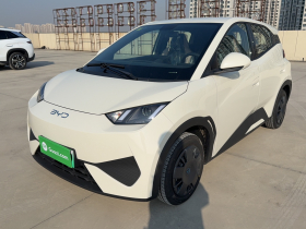 比亚迪 海鸥 2025款 智驾版 305km 活力版