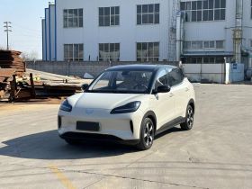 五菱汽车 五菱缤果PLUS 2024款 510km 五座版