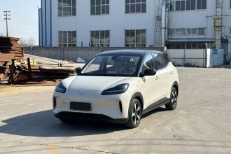 五菱汽车 五菱缤果PLUS 2024款 510km 五座版