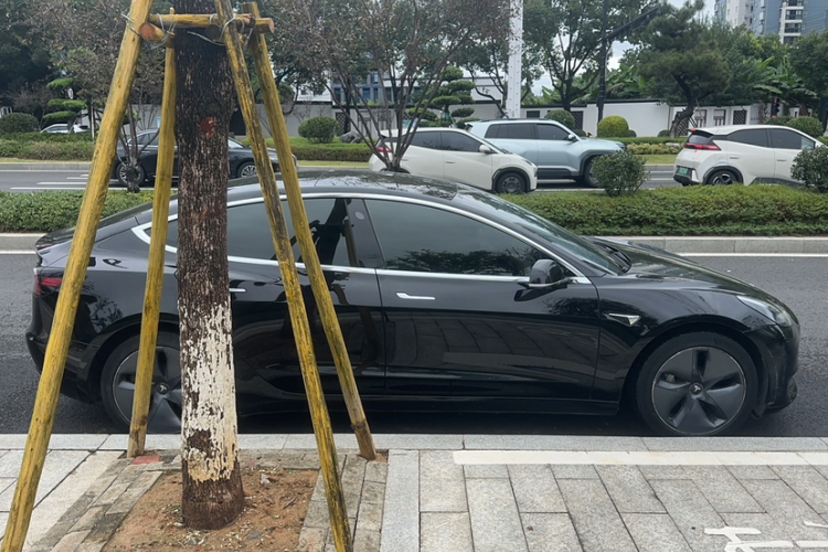 特斯拉 Model 3 2020款 改款 标准续航后驱升级版车身外观6003