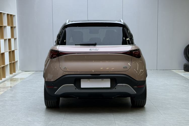 smart精灵#1 2022款 Premium版车身外观6002