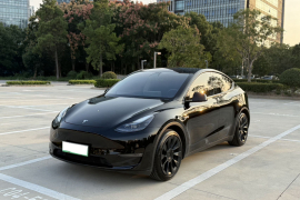 特斯拉 Model Y 2021款 标准续航后驱版