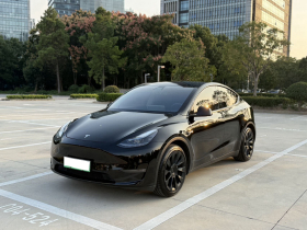 特斯拉 Model Y 2021款 标准续航后驱版