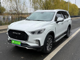 上汽大通MAXUS D90 2017款 2.0T 自动两驱 天王星