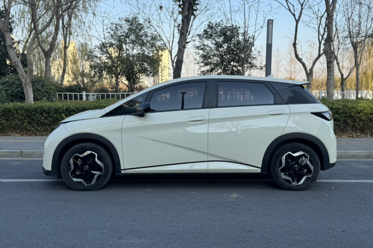 比亚迪 海豚 2021款 405km 时尚版车身外观6005