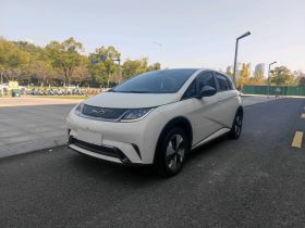 比亚迪 海豚 2023款 420km 时尚版