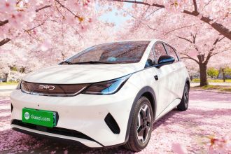 比亚迪 海豚 2025款 智驾版 420km 自由版