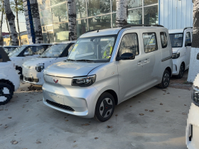 五菱汽车 五菱之光新能源 2025款 305km 进取型