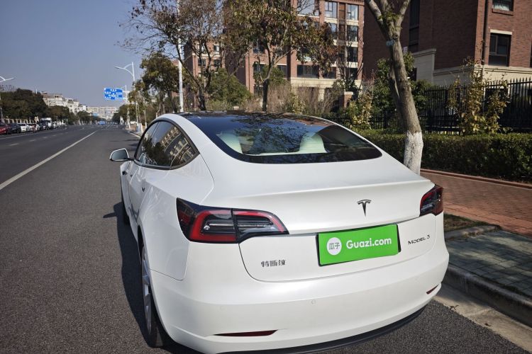 特斯拉 Model 3 2021款 改款 标准续航后驱升级版 3D1车身外观6006