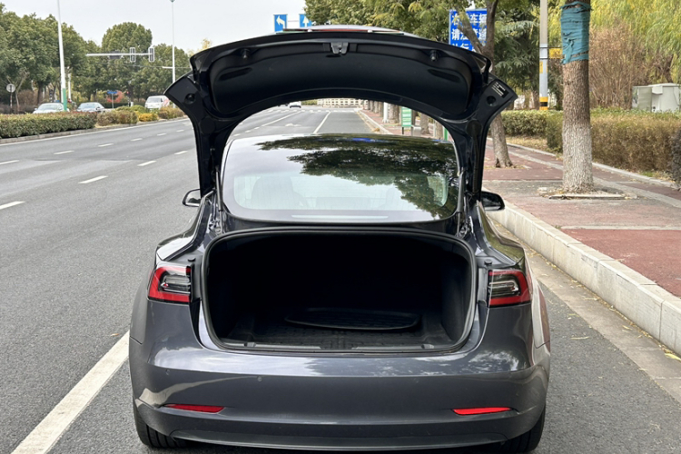 特斯拉 Model 3 2020款 标准续航后驱升级版车身外观6003