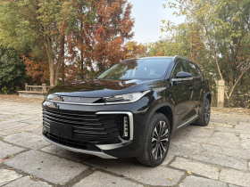 星途凌云 2024款 300T 两驱星耀版