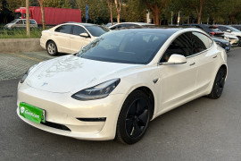 特斯拉 Model 3(进口) 2019款 长续航后驱版